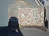 image of grave number 930105